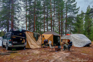 utro-v-sosnovom-boru